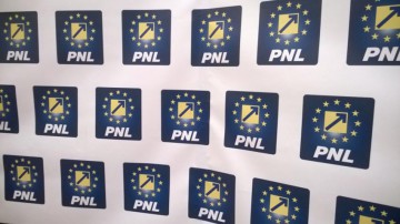 PNL își reafirmă susținerea ca primarii să fie aleși în două tururi